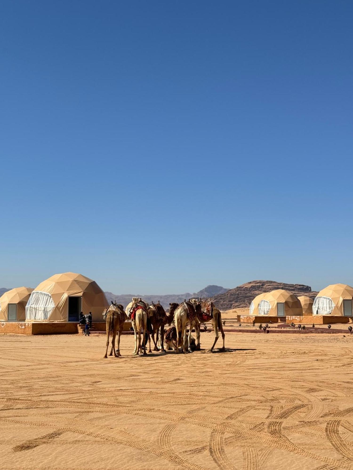 Wadi Rum Anwar Luxury Camp Eksteriør bilde